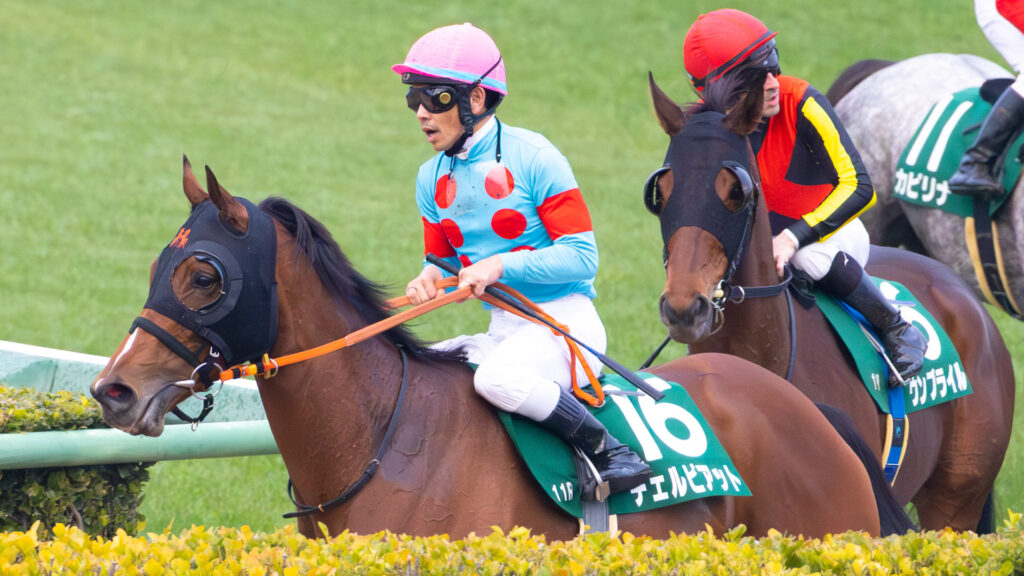 2025年12月20日、中山競馬場で行われたGⅢターコイズステークス。ゴール後に装鞍所に戻ってくるチェルビアットと戸崎騎手。