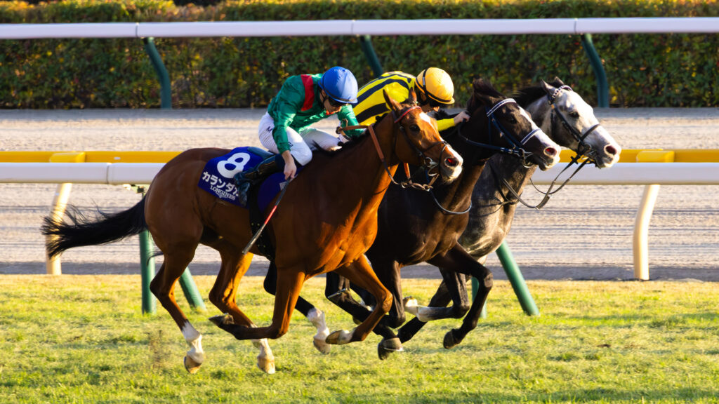 第45回ジャパンカップ、ゴール前100mの攻防。天皇賞・秋を制したマスカレードボールと欧州年度代表馬カランダガンが、火花を散らすような叩き合いを演じた。