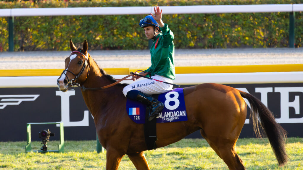 第45回ジャパンカップ（2025年・東京競馬場）で優勝したカランダガンとミカエル・バルザローナ騎手が、観客の声援に応えて左手を掲げるウイニングランのシーン。