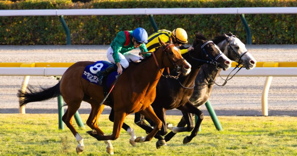 第45回ジャパンカップ、ゴール前100mの攻防。天皇賞・秋を制したマスカレードボールと欧州年度代表馬カランダガンが、火花を散らすような叩き合いを演じた。