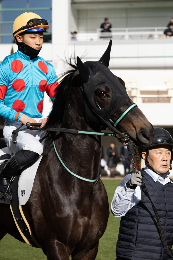 2026年1月11日 中山競馬場の4歳上1勝クラスのパドック。騎乗命令で舟山騎手を背にし、スイッチの入ったシアブリスの写真。