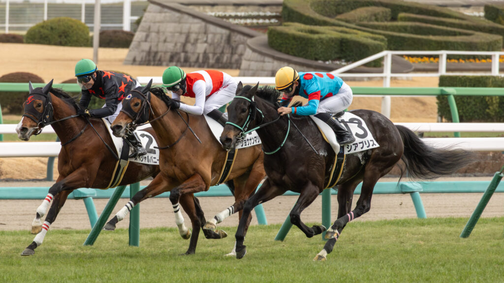2026年1月11日 中山競馬場・4歳上1勝クラスのゴール前100mの地点でのシーン。舟山騎手騎乗のシアブリスが、長期休養明けながらゴールを目指して一生懸命走っているレース写真。