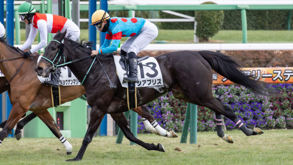 2026年1月11日 中山競馬場・4歳上1勝クラスのゴールシーン。舟山騎手騎乗のシアブリスが、長期休養明けながら最後まで懸命に走り切ったレース写真。