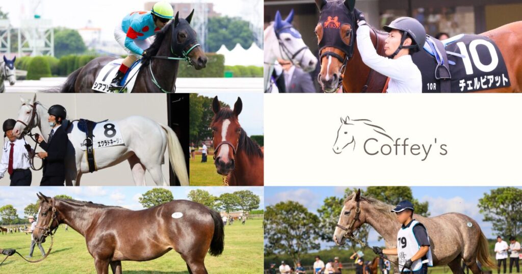 2026年のCoffey Stableの出資馬達の写真。シアブリス/チェルビアット/エクラドネージュ/グレイテストエバー/ミスビアンカの24/ヴェルスパーの24