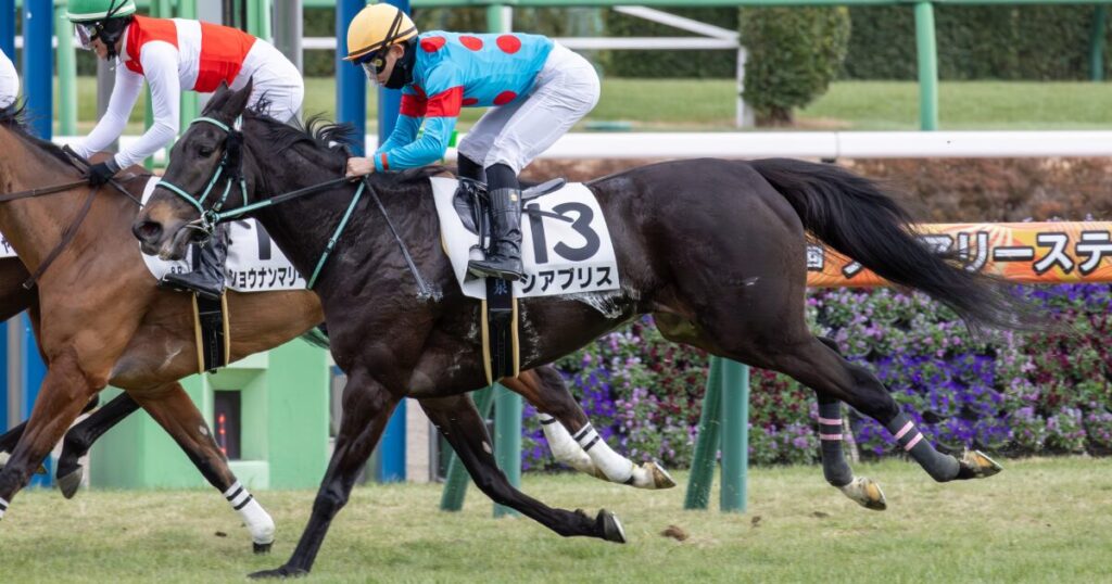 2026年1月11日 中山競馬場・4歳上1勝クラスのゴールシーン。舟山騎手騎乗のシアブリスが、長期休養明けながら最後まで懸命に走り切ったレース写真。