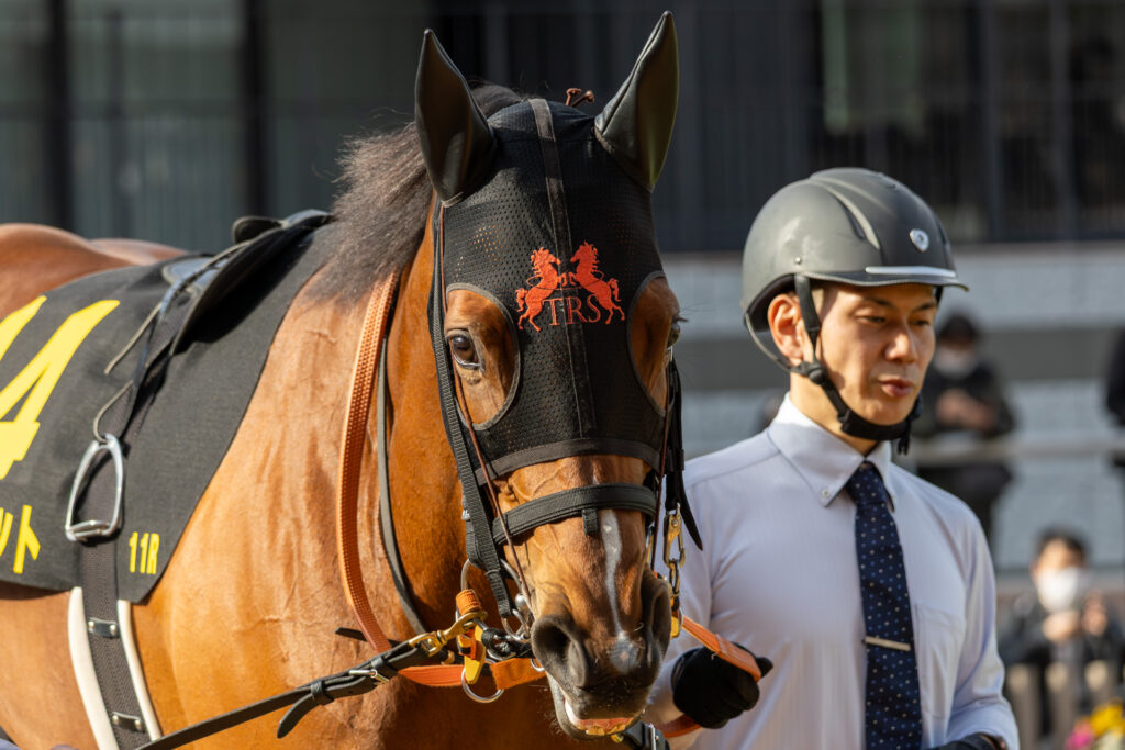 ぽかぽかとした京都の空の下、静かなまなざしで歩くチェルビアット。落ち着いた佇まいで、瞳の奥には確かな成長の気配が宿っていた。