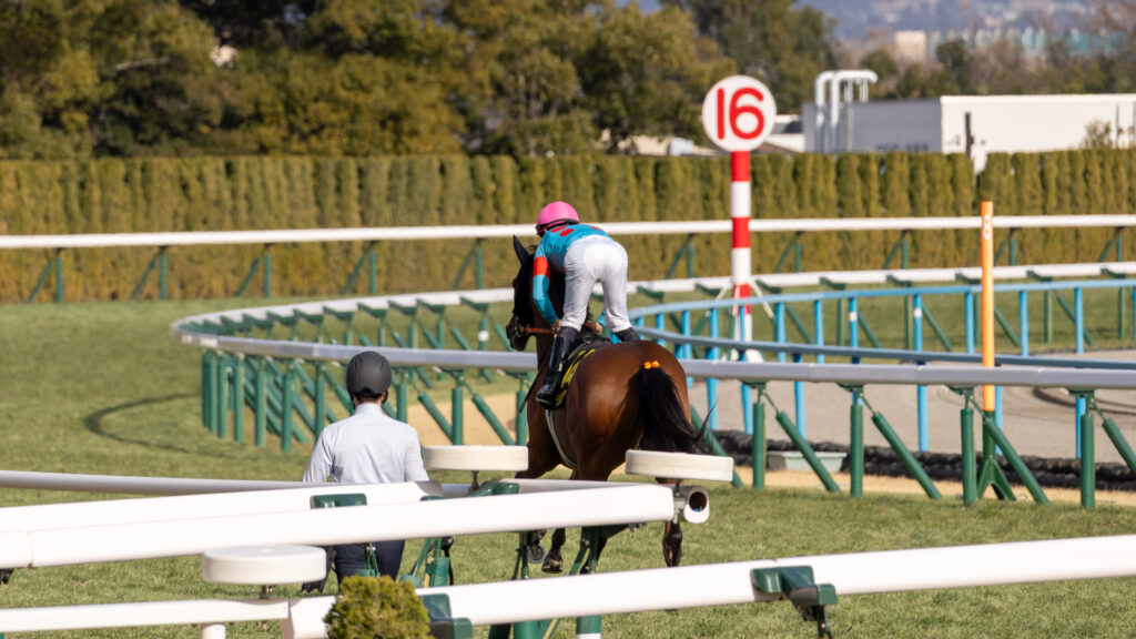 ぽかぽか陽気の京都競馬場。洛陽ステークスでひと足先に本馬場へ向かうチェルビアット。西村淳也騎手と返し馬に向かうその背を、厩務員の方が静かに見送る心に残る瞬間を切り取った一枚。