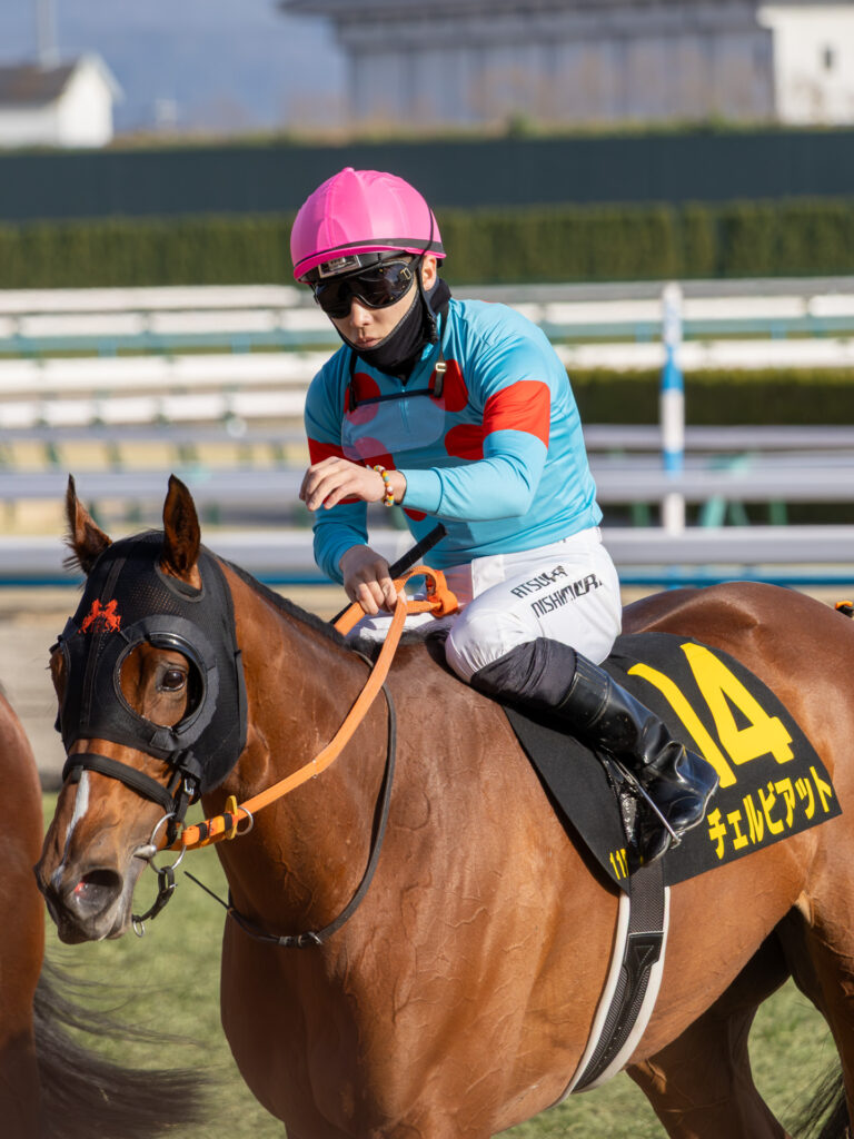 2026年2月14日、京都競馬場で行われた洛陽ステークス。2着で入線したチェルビアットが、西村淳也騎手を背に検量室へ引き揚げる場面。