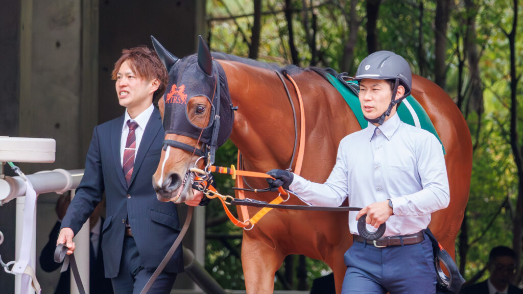 2026年愛知杯（中京競馬場）パドックに厩舎関係者に引かれて入場するチェルビアット。今年初めての重賞挑戦。