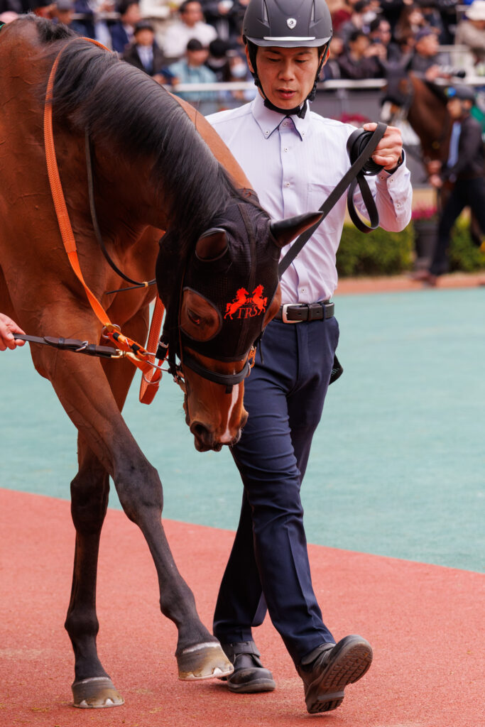 2026年3月22日、中京競馬場の愛知杯パドック。チェルビアットと厩務員さんが同じ足を踏み出す、思わず顔がほころぶほほえましい一枚。