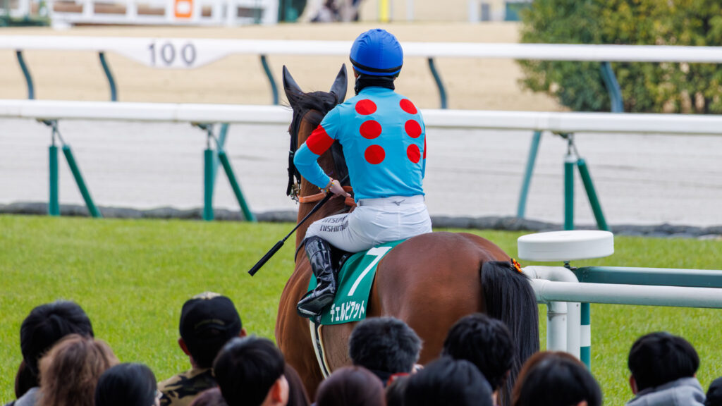 2026年3月22日、中京競馬場の愛知杯本馬場入場。西村淳也騎手を背に、チェルビアットがターフへ向かう後ろ姿。