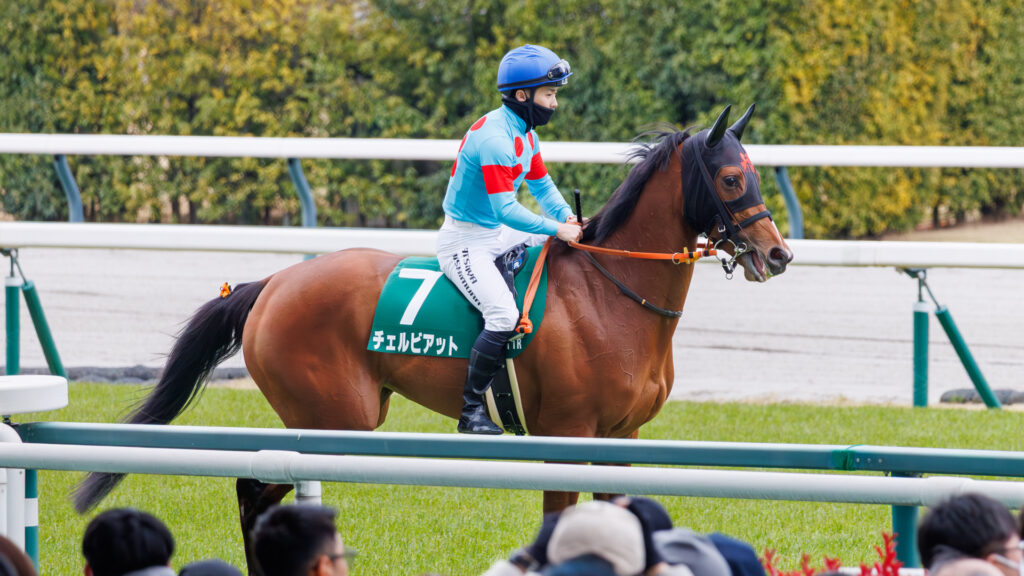 2026年3月22日、中京競馬場の愛知杯返し馬。西村淳也騎手を背にしたチェルビアットが、返し馬前に呼吸を整える。