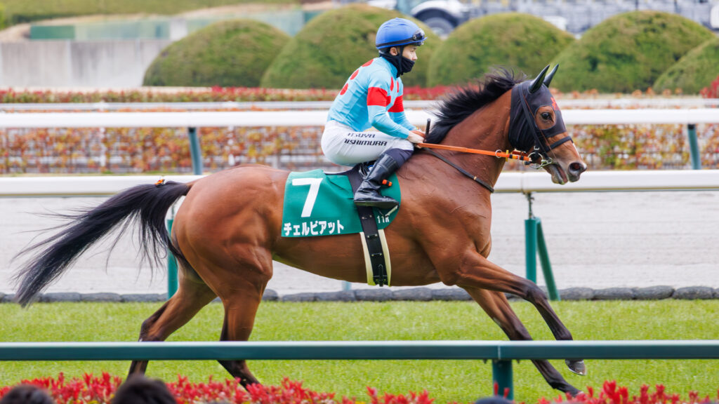 2026年3月22日、中京競馬場の愛知杯返し馬。西村淳也騎手を背にしたチェルビアットが、少しずつスピードを上げていく。
