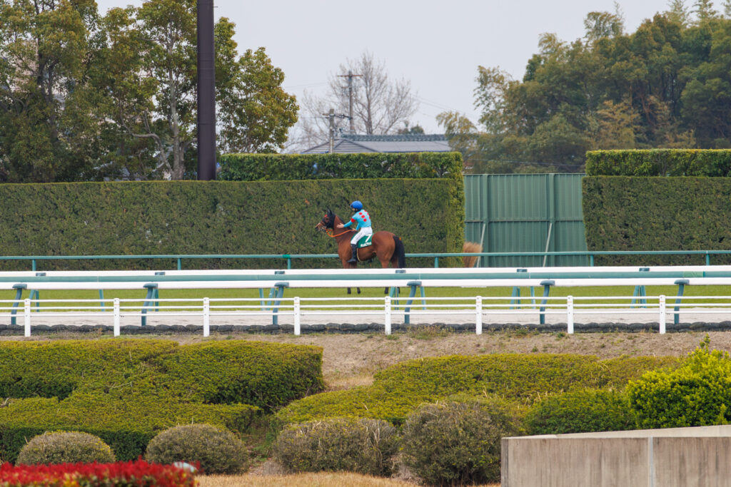 2026年3月22日、中京競馬場の愛知杯返し馬の写真。先出しをしたチェルビアットが向こう正面で西村淳也騎手に首を撫でられている一枚。