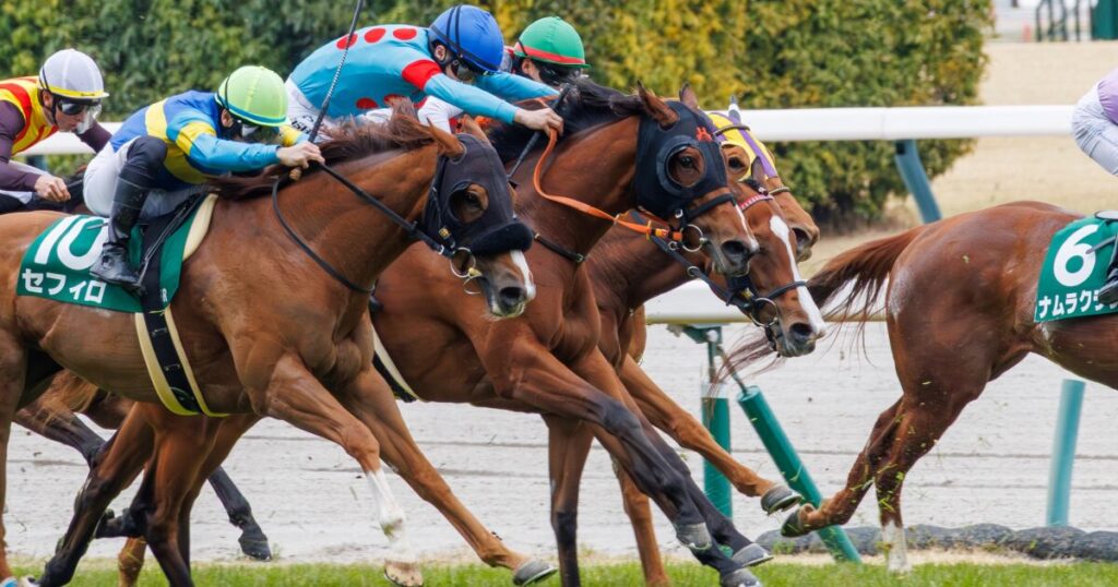 2026年3月22日、中京競馬場の愛知杯ゴール前の写真。馬群の中からチェルビアットが西村淳也騎手を背に懸命に脚を伸ばす。