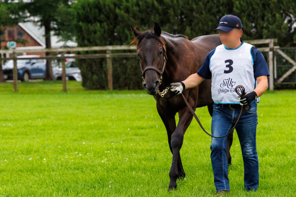 2026年シルク・ホースクラブ募集馬ツアーで訪れたノーザンファームYearling。「ディアンドルの25」が歩く姿を正面から撮影した写真。