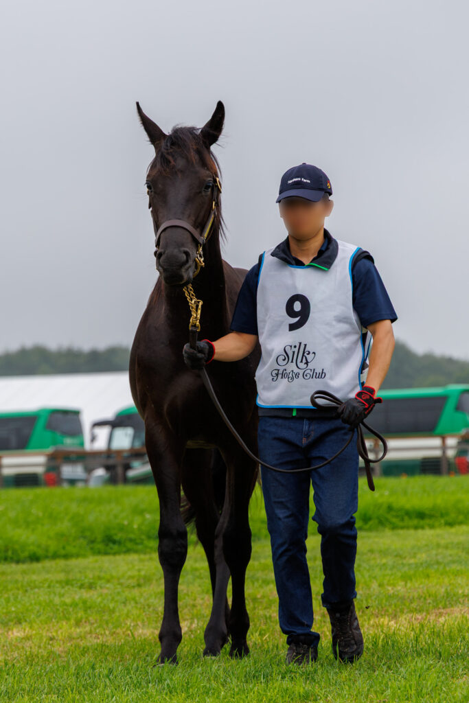 2026年シルク・ホースクラブ募集馬ツアーで訪れたノーザンファームYearling。「ワディハッタの25」が歩く姿を正面から撮影した写真。